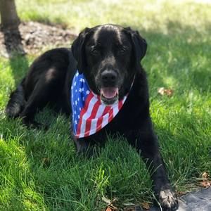 Meet your Posher, Charise